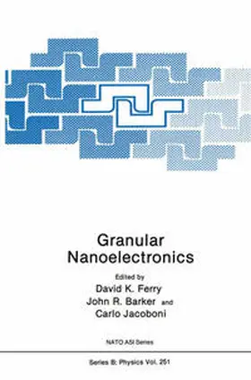 Ferry / Barker / Jacoboni |  Granular Nanoelectronics | eBook | Sack Fachmedien
