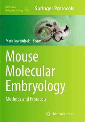 Lewandoski | Mouse Molecular Embryology | Buch | 978-1-4899-7773-1 | sack.de