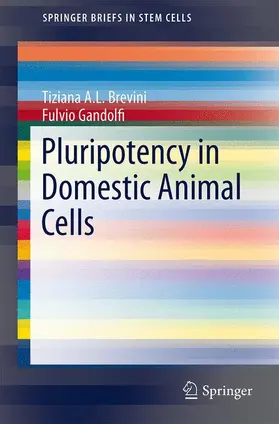 Gandolfi / Brevini |  Pluripotency in Domestic Animal Cells | Buch |  Sack Fachmedien
