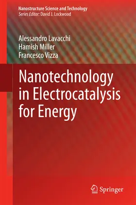 Lavacchi / Miller / Vizza |  Nanotechnology in Electrocatalysis for Energy | eBook | Sack Fachmedien