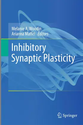 Maffei / Woodin | Inhibitory Synaptic Plasticity | Buch | 978-1-4899-8127-1 | sack.de