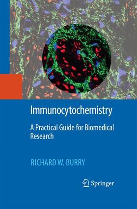 Burry | Immunocytochemistry | Buch | 978-1-4899-8442-5 | sack.de