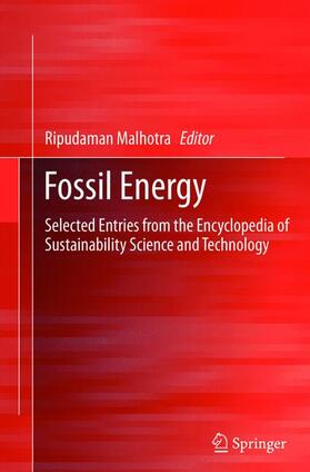 Malhotra | Fossil Energy | Buch | sack.de