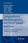 Sabbagh / Murphy / Knopp |  Computational Electromagnetics and Model-Based Inversion | Buch |  Sack Fachmedien