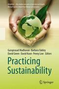 Madhavan / Oakley / Low |  Practicing Sustainability | Buch |  Sack Fachmedien