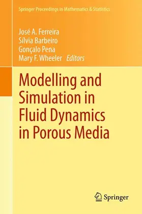 Ferreira / Wheeler / Barbeiro |  Modelling and Simulation in Fluid Dynamics in Porous Media | Buch |  Sack Fachmedien