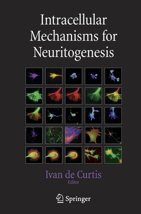 Curtis | Intracellular Mechanisms for Neuritogenesis | Buch | 978-1-4899-9022-8 | sack.de