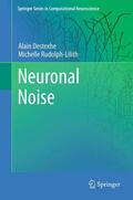 Rudolph-Lilith / Destexhe |  Neuronal Noise | Buch |  Sack Fachmedien