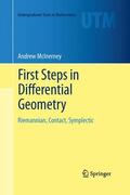McInerney |  First Steps in Differential Geometry | Buch |  Sack Fachmedien