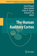 Poeppel / Fay / Overath |  The Human Auditory Cortex | Buch |  Sack Fachmedien