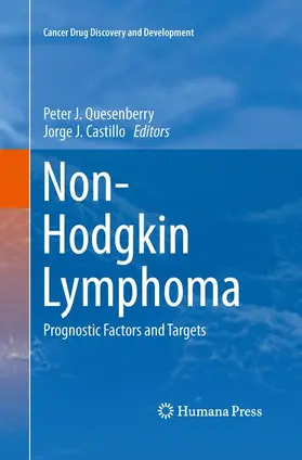 Castillo / Quesenberry |  Non-Hodgkin Lymphoma | Buch |  Sack Fachmedien
