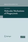 Rosales |  Molecular Mechanisms of Phagocytosis | Buch |  Sack Fachmedien