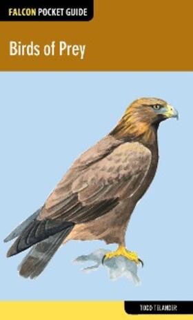Telander |  Birds of Prey | eBook | Sack Fachmedien