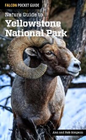 Simpson |  Nature Guide to Yellowstone National Park | eBook | Sack Fachmedien
