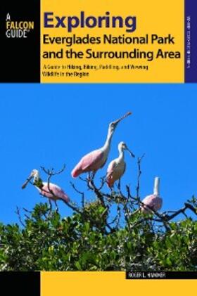 Hammer |  Exploring Everglades National Park and the Surrounding Area | eBook | Sack Fachmedien