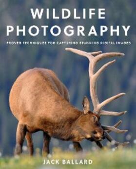 Ballard |  Wildlife Photography | eBook | Sack Fachmedien