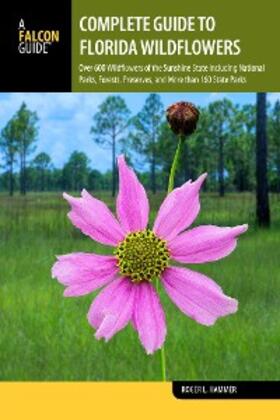 Hammer |  Complete Guide to Florida Wildflowers | eBook | Sack Fachmedien