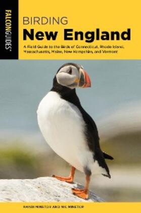 Minetor |  Birding New England | eBook | Sack Fachmedien