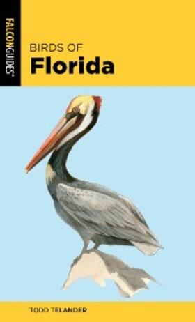 Telander |  Birds of Florida | eBook | Sack Fachmedien