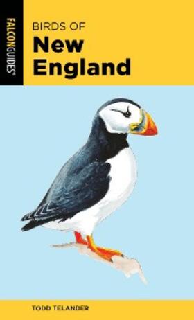 Telander |  Birds of New England | eBook | Sack Fachmedien