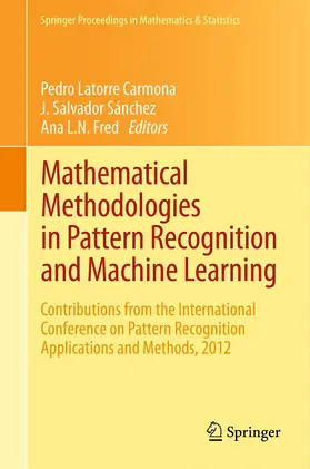 Latorre Carmona / Fred / Sánchez |  Mathematical Methodologies in Pattern Recognition and Machine Learning | Buch |  Sack Fachmedien