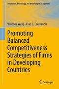 Carayannis / Wang |  Promoting Balanced Competitiveness Strategies of Firms in Developing Countries | Buch |  Sack Fachmedien