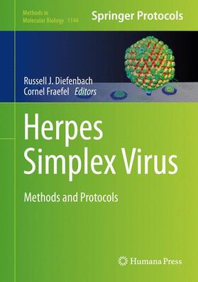 Fraefel / Diefenbach | Herpes Simplex Virus | Buch | 978-1-4939-0427-3 | sack.de