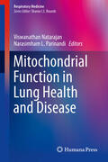 Natarajan / Parinandi |  Mitochondrial Function in Lung Health and Disease | eBook | Sack Fachmedien