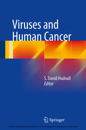 Hudnall |  Viruses and Human Cancer | eBook | Sack Fachmedien