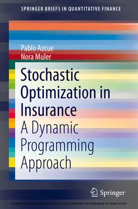 Azcue / Muler |  Stochastic Optimization in Insurance | eBook | Sack Fachmedien