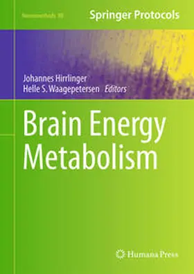 Hirrlinger / Waagepetersen | Brain Energy Metabolism | E-Book | sack.de