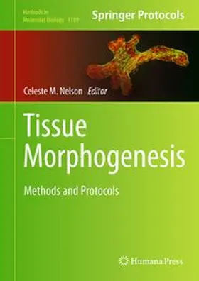Nelson |  Tissue Morphogenesis | eBook | Sack Fachmedien