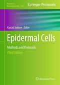 Turksen |  Epidermal Cells | Buch |  Sack Fachmedien
