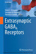 Errington / Di Giovanni / Crunelli |  Extrasynaptic GABAA Receptors | eBook | Sack Fachmedien