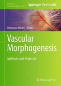 Ribatti |  Vascular Morphogenesis | Buch |  Sack Fachmedien