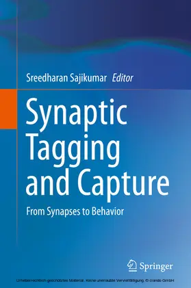 Sajikumar |  Synaptic Tagging and Capture | eBook | Sack Fachmedien