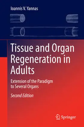 Yannas | Tissue and Organ Regeneration in Adults | E-Book | www.sack.de