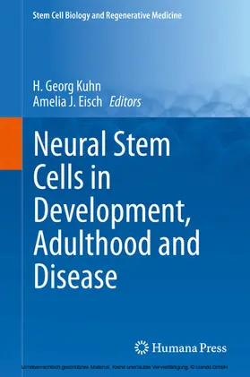 Kuhn / Eisch | Neural Stem Cells in Development, Adulthood and Disease | E-Book | sack.de