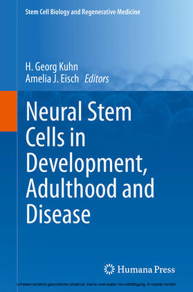 Kuhn / Eisch | Neural Stem Cells in Development, Adulthood and Disease | E-Book | sack.de