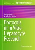 Rogiers / Vinken |  Protocols in In Vitro Hepatocyte Research | Buch |  Sack Fachmedien
