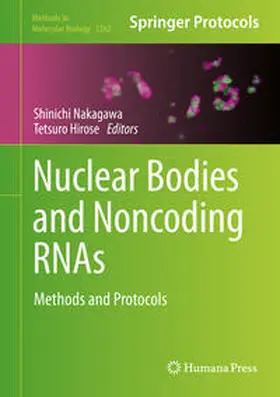 Nakagawa / Hirose |  Nuclear Bodies and Noncoding RNAs | eBook | Sack Fachmedien