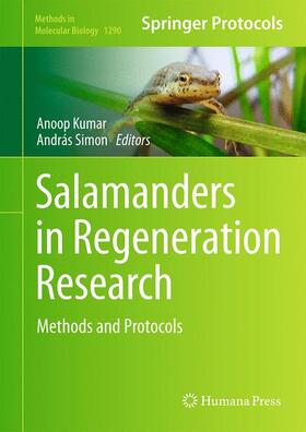 Simon / Kumar | Salamanders in Regeneration Research | Buch | 978-1-4939-2494-3 | sack.de