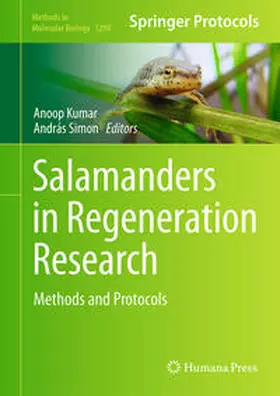 Kumar / Simon |  Salamanders in Regeneration Research | eBook | Sack Fachmedien