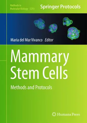 Vivanco |  Mammary Stem Cells | Buch |  Sack Fachmedien