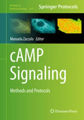 Zaccolo |  cAMP Signaling | eBook | Sack Fachmedien