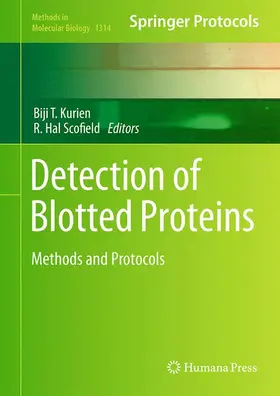 Kurien / Scofield |  Detection of Blotted Proteins | Buch |  Sack Fachmedien