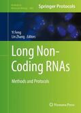 Zhang / Feng |  Long Non-Coding RNAs | Buch |  Sack Fachmedien