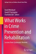 Weisburd / Gill / Farrington |  What Works in Crime Prevention and Rehabilitation | Buch |  Sack Fachmedien