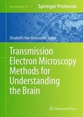 Van Bockstaele |  Transmission Electron Microscopy Methods for Understanding the Brain | Buch |  Sack Fachmedien