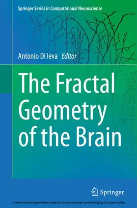 Di Ieva |  The Fractal Geometry of the Brain | eBook | Sack Fachmedien